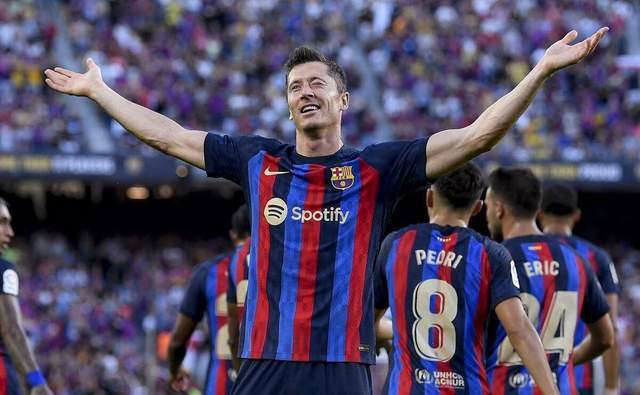 全磁悬浮植入式心室辅助装置